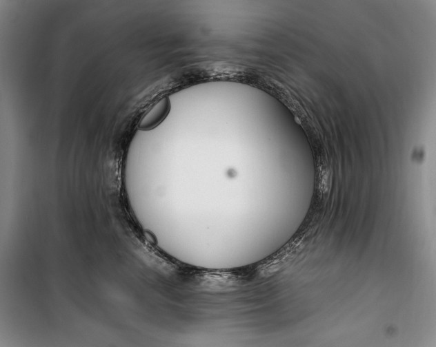 X0000099990666200806131436