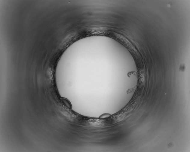 X0000099990667200806131436