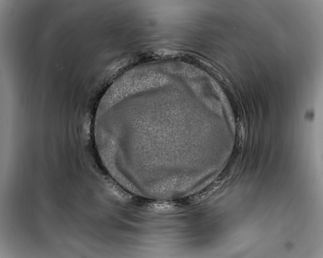 X0000099990668200806131436