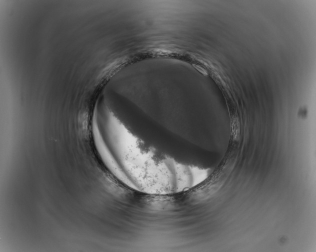 X0000099990670200806131436