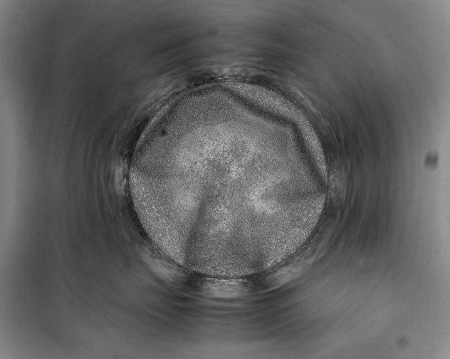 X0000099990671200806131436