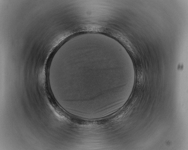 X0000099990674200806131435