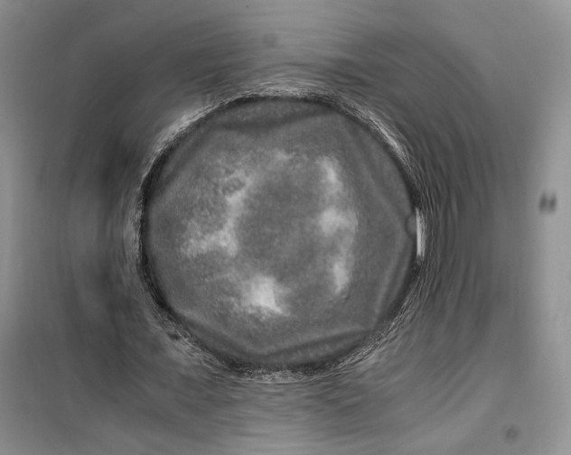 X0000099990675200806131435