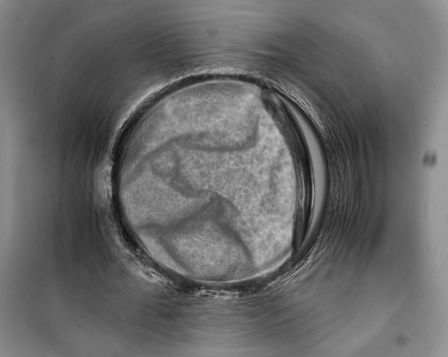 X0000099990676200806131435