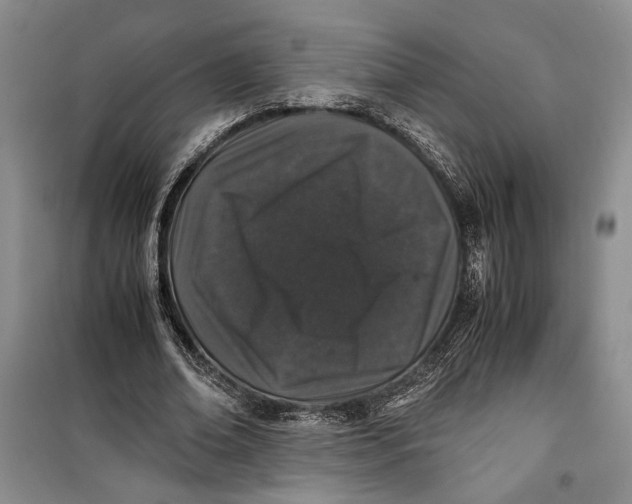 X0000099990678200806131435