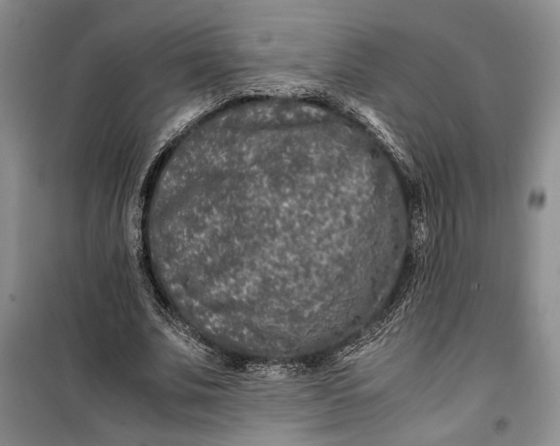 X0000099990679200806131435