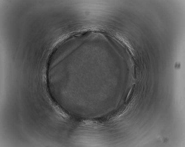 X0000099990681200806131435