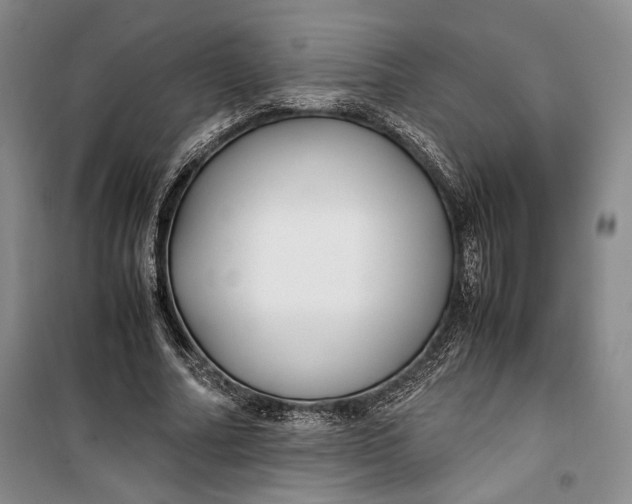 X0000099990682200806131435