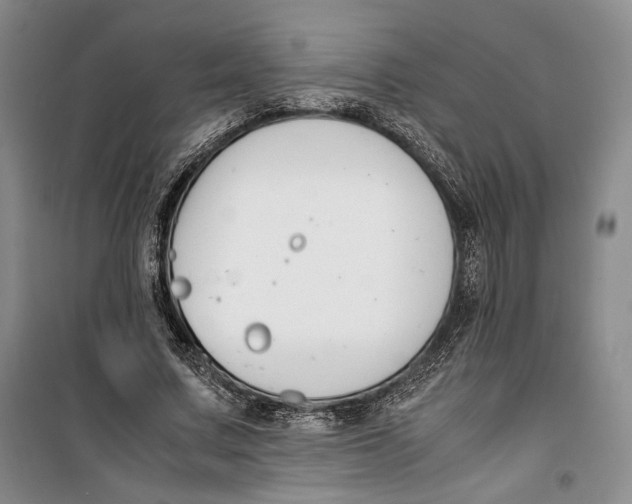 X0000099990683200806131435