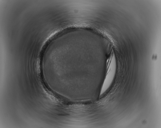 X0000099990684200806131435