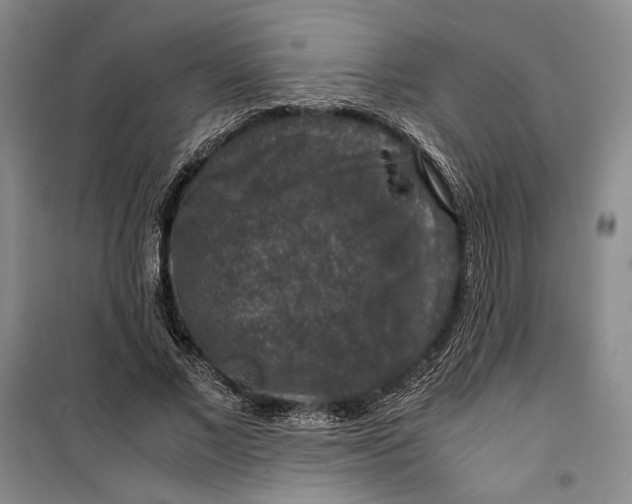 X0000099990685200806131435