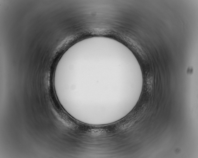 X0000099990686200806131435