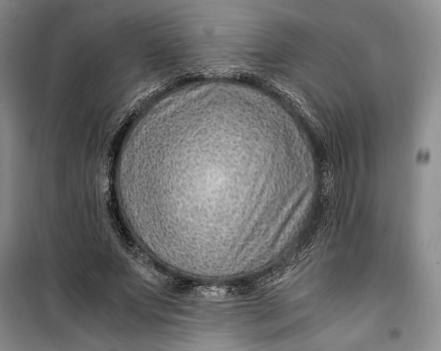 X0000099990687200806131435