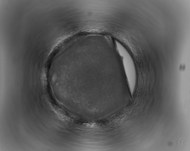 X0000099990688200806131435