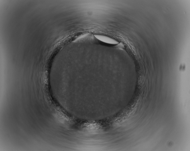 X0000099990689200806131435