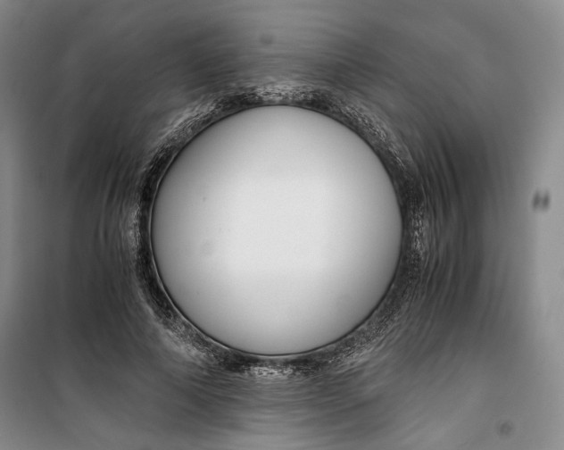 X0000099990690200806131435