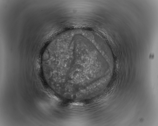 X0000099990691200806131435