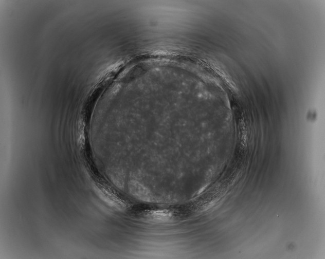 X0000099990692200806131435