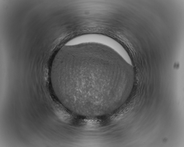 X0000099990693200806131435