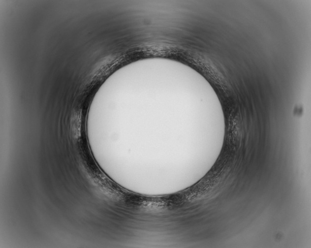 X0000099990694200806131435