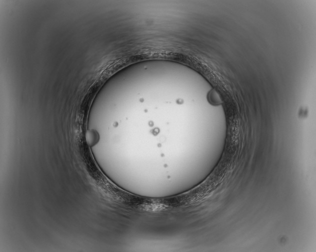 X0000099990695200806131435