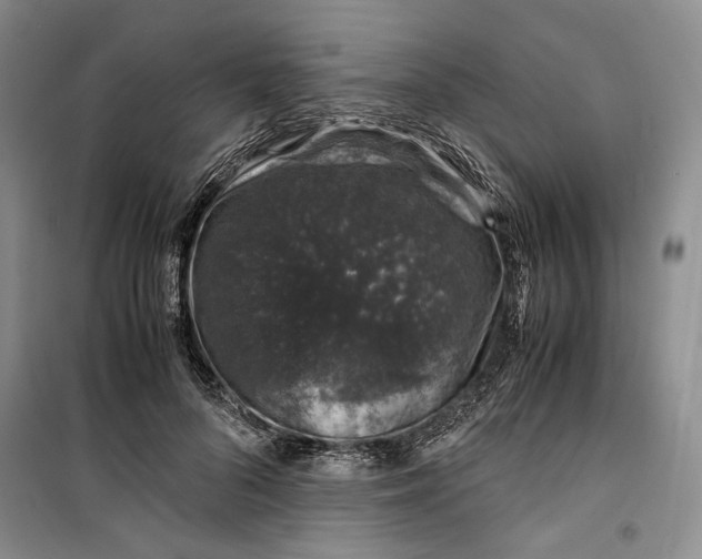 X0000099990696200806131435