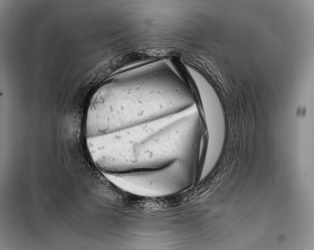 X0000099990697200806131435