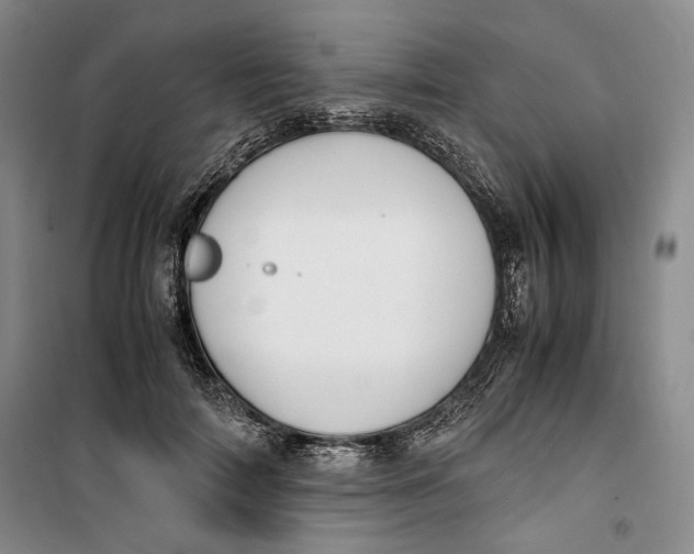 X0000099990698200806131435