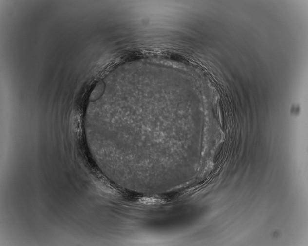 X0000099990699200806131435