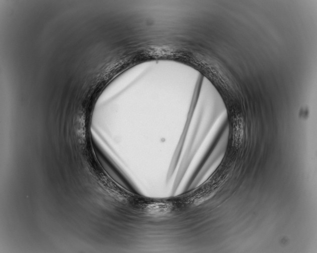 X0000099990700200806131435