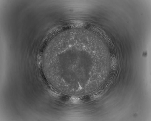 X0000099990701200806131435