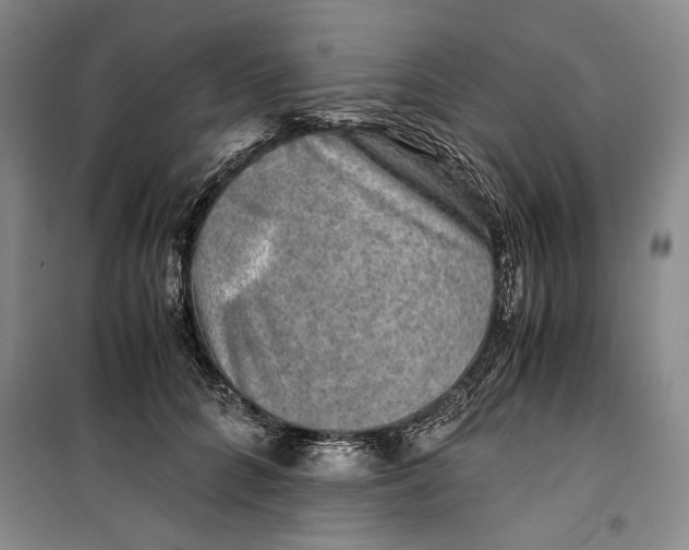 X0000099990704200806131435