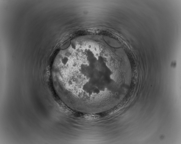 X0000099990707200806131435