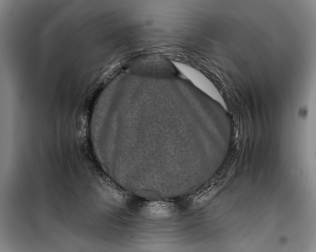 X0000099990708200806131435