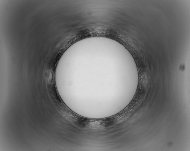 X0000099990709200806131435