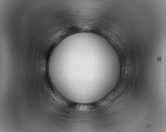 X0000099990710200806131435