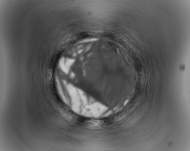 X0000099990711200806131435