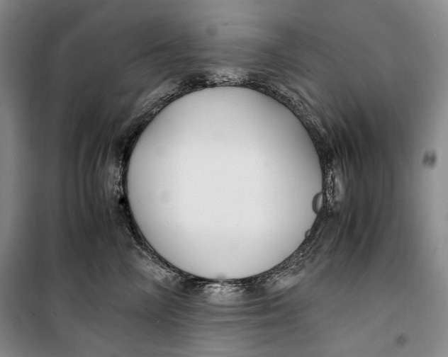 X0000099990714200806131435