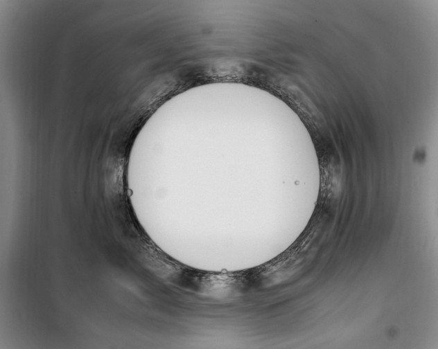 X0000099990717200806131435