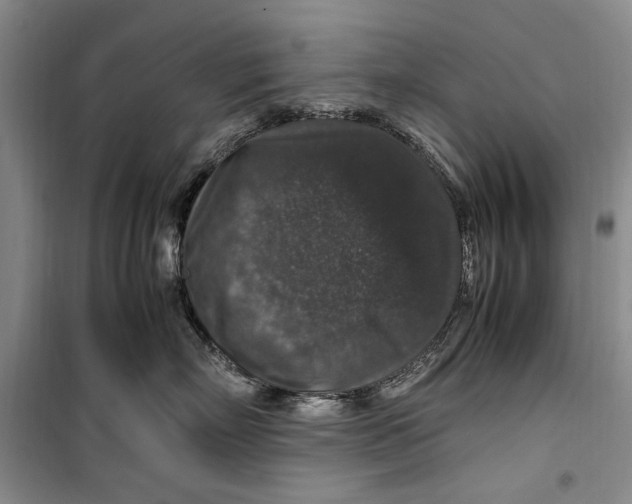 X0000099990718200806131435