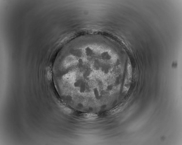 X0000099990719200806131435