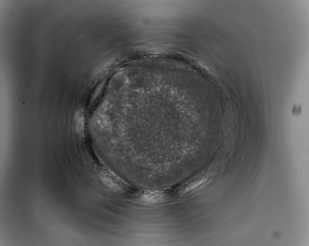 X0000099990720200806131435