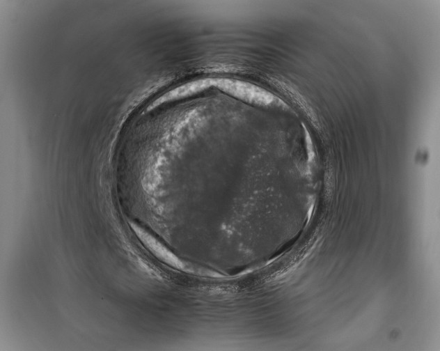 X0000099990721200806131434