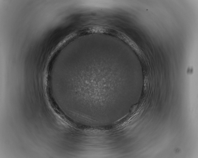 X0000099990722200806131434