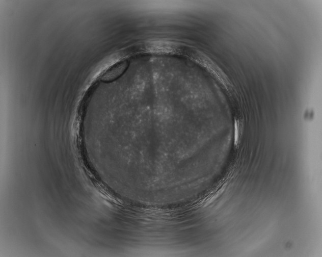 X0000099990723200806131434