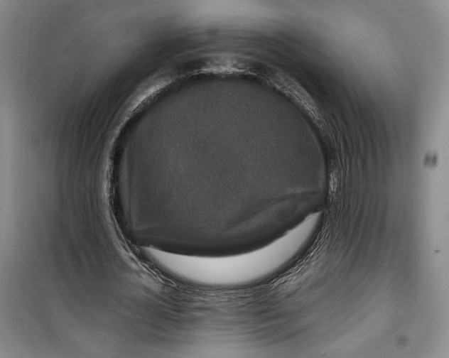 X0000099990724200806131434