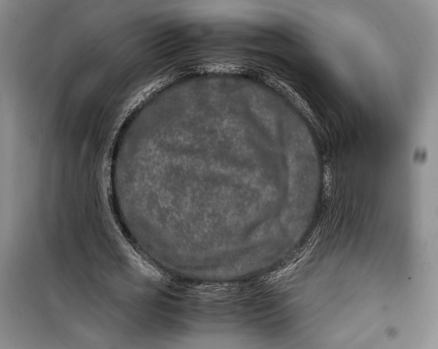 X0000099990725200806131434