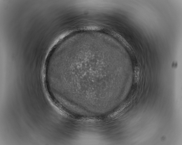 X0000099990726200806131434