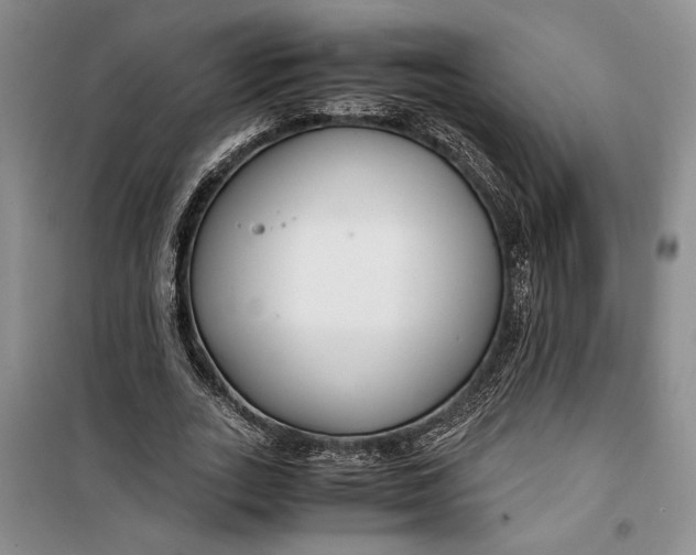 X0000099990727200806131434