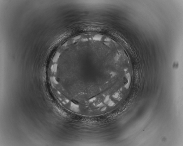 X0000099990729200806131434